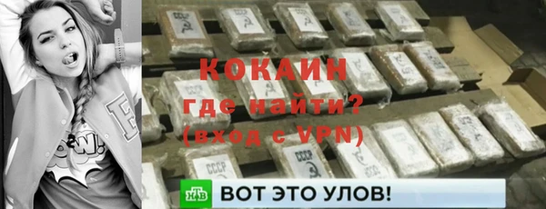 гашик Белокуриха
