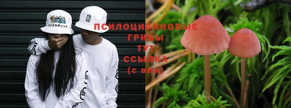 трава Богданович