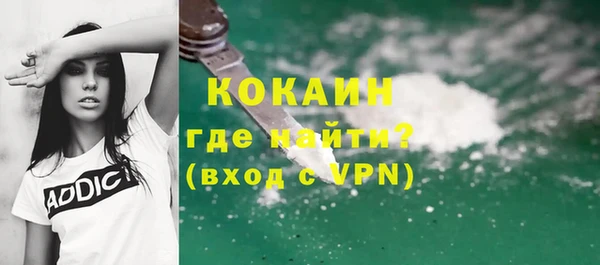 гашик Белокуриха