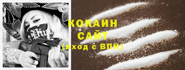 гашик Белокуриха