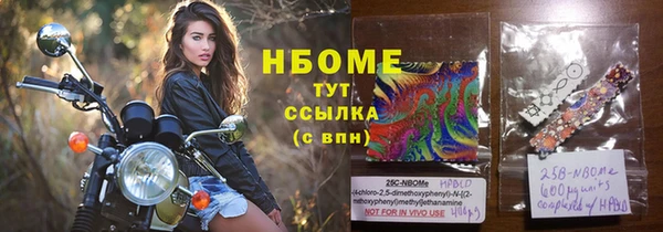 гашик Белокуриха