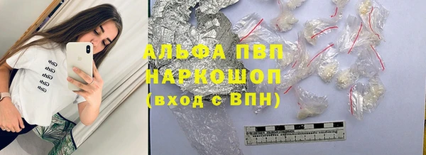 эйфоретик Беломорск