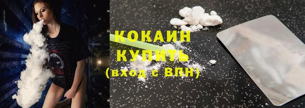 гашик Белокуриха