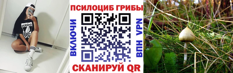 купить наркотики цена Бугуруслан Галлюциногенные грибы мицелий